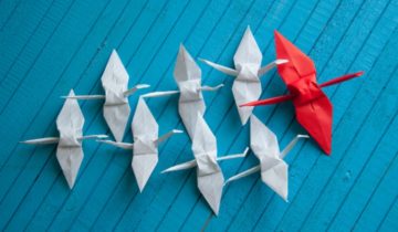Le tour de la question : le management 3.0 (decideursrégion.fr)